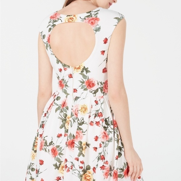 Emerald Sundae Printed Open-Back Fit & Flare Plus Size Dress NWOT - Picture 3 of 12